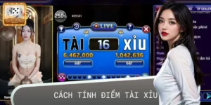 Bỏ Túi Cách Tính Điểm Tài Xỉu Cho Newbie Làm Chủ Cuộc Chơi