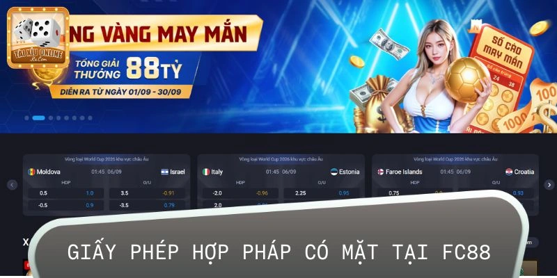 Tổng quan về giấy phép hợp pháp