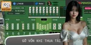 Bí Quyết Gỡ Vốn Khi Thua Tài Xỉu Giúp Bạn Mới Hạn Chế Rủi Ro