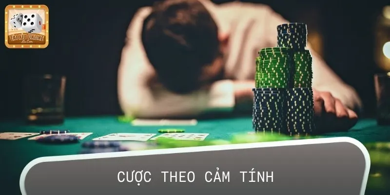 Cược theo cảm tính có thể là nguyên nhân khiến bạn thua lỗ nặng nề