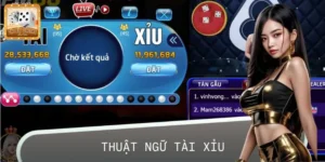 Từ Điển Thuật Ngữ Tài Xỉu Cho Người Chơi Muốn Nâng Trình